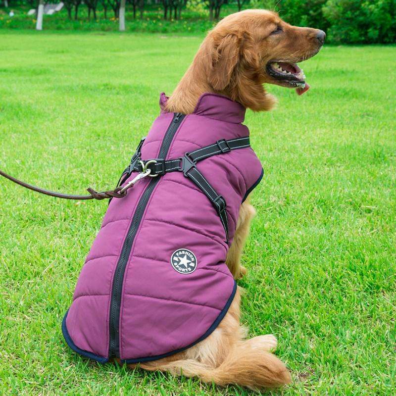 Vandtæt vinterjakke til hunde, rød farve, lynlås, fleece-for, reflekterende detaljer og høj krave.