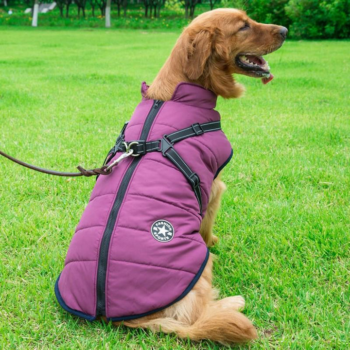 Vandtæt vinterjakke til hunde, rød farve, lynlås, fleece-for, reflekterende detaljer og høj krave.