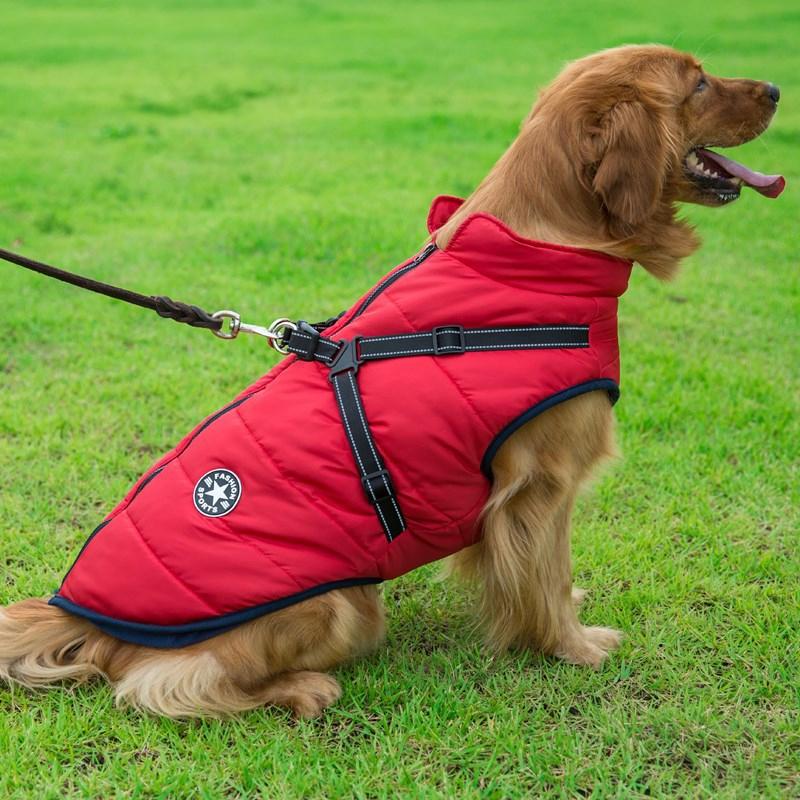 Vandtæt vinterjakke til hunde, rød farve, lynlås, fleece-for, reflekterende detaljer og høj krave.