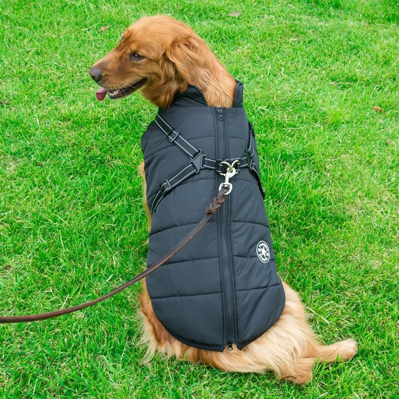 Vandtæt vinterjakke til hunde, rød farve, lynlås, fleece-for, reflekterende detaljer og høj krave.