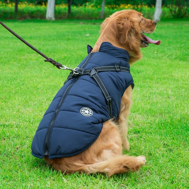 Vandtæt vinterjakke til hunde, rød farve, lynlås, fleece-for, reflekterende detaljer og høj krave.