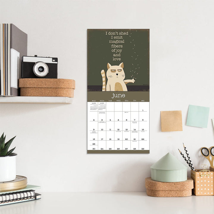 2024 Sinneløse Katte Vægkalender, farverige kattebilleder, humor, miljøvenligt materiale, rummelig planlægning