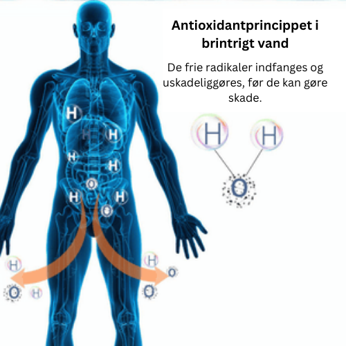 Stilfuld bærbar brintvandflaske, der booster din energi og fremmer din sundhed.
