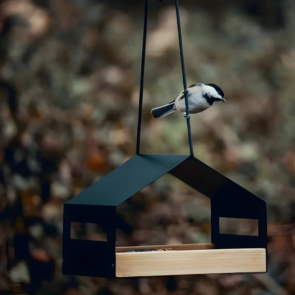 Hængende fuglehus med foderautomat i elegant design til haven eller altanen. Vejrbestandig udendørs dekoration.