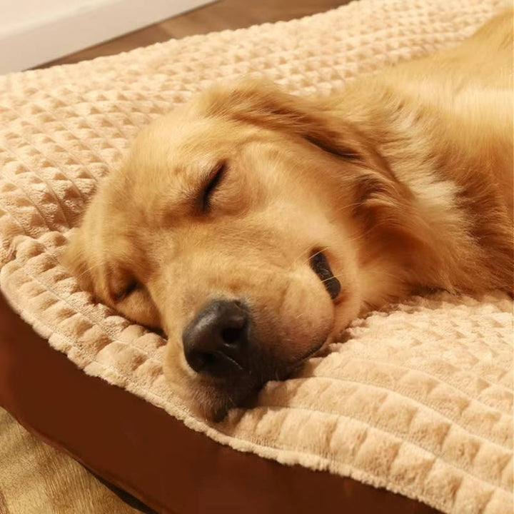 En glad hund putter sig i sin nye, bløde fleece hundeseng, nydende varmen og komforten.
