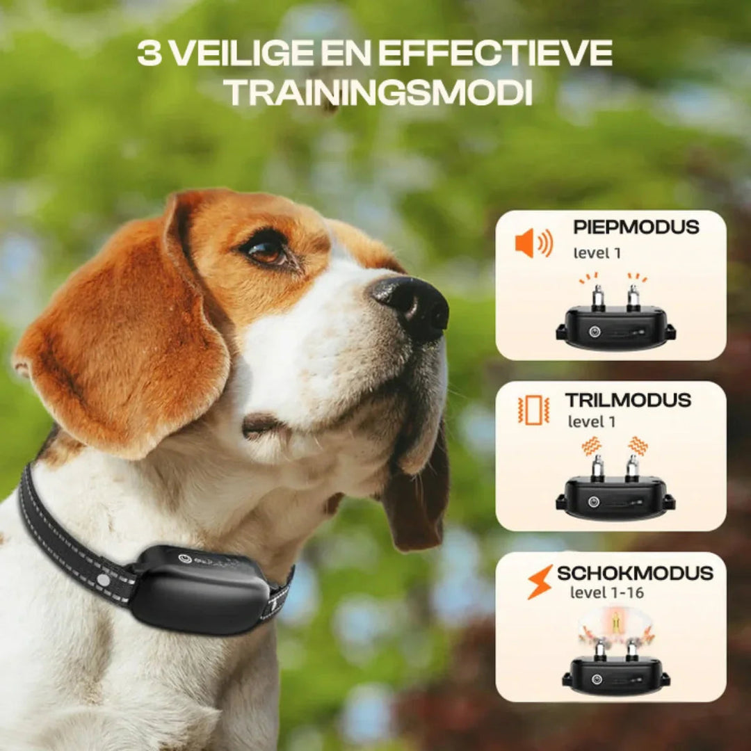 Komplet sæt professionelt hundetræningshalsbånd med fjernbetjening for optimal lydighedstræning af hunde.