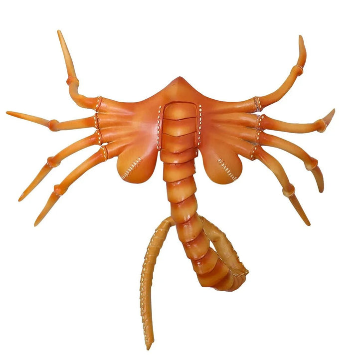 Sort og brun Alien Facehugger latex maske, klar til Halloween. Skræmmende unisex cosplay kostume.