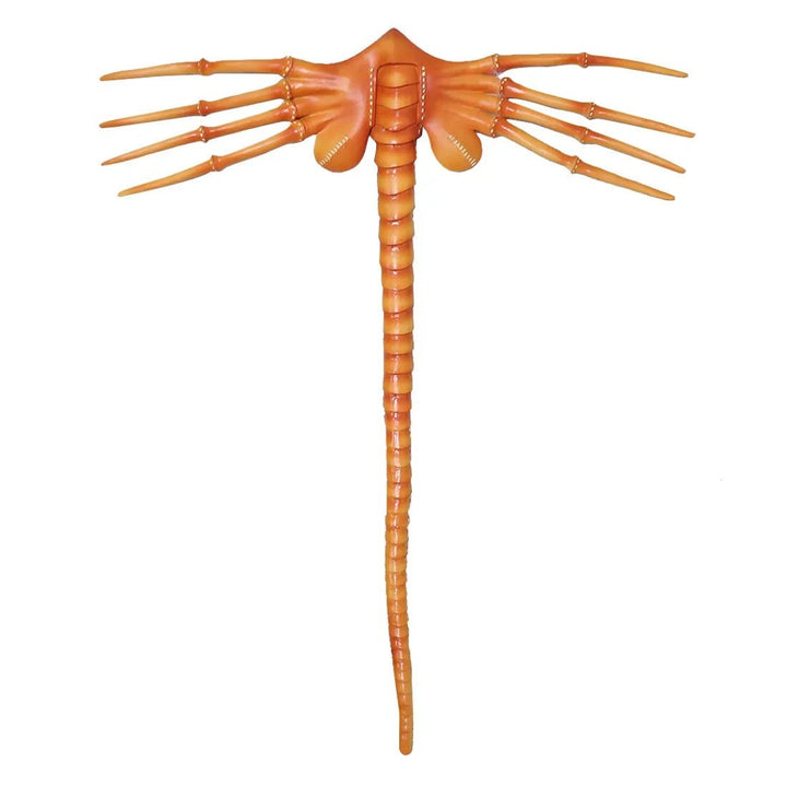 Skræmmende Alien Facehugger maske til Halloween kostume. Latex cosplay til uhyggelige fester.