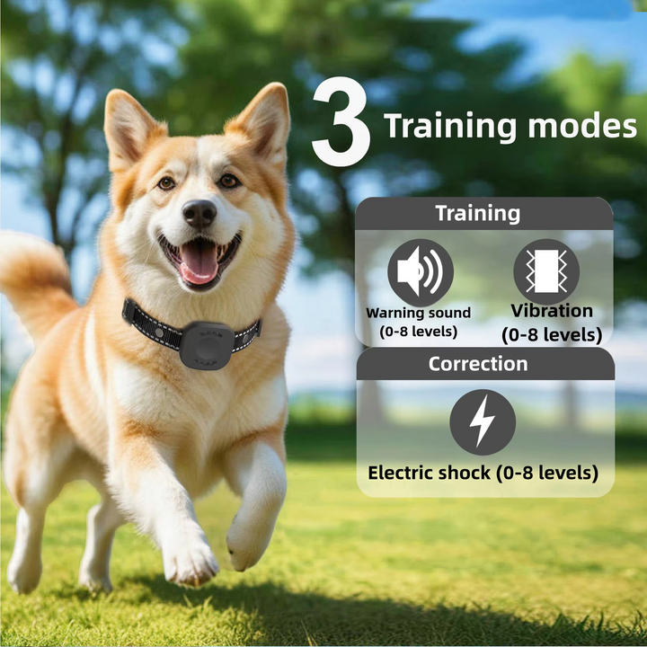 Nem installation af trådløst hundehegn. Ingen gravearbejde, usynlig beskyttelse til kæledyr.
