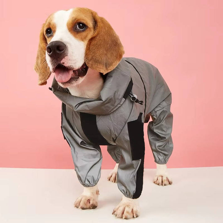 Legende hund i vandtæt regnfrakke nyder udendørs leg i regn. Komfortabelt hundetøj til eventyr.